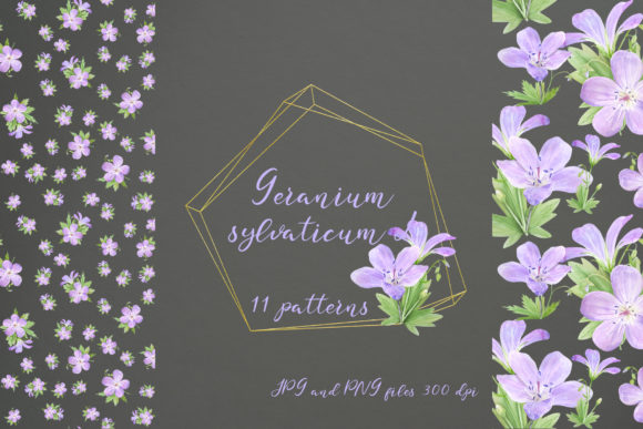 11 Seamless Patterns with Geranium for Modern Editorial Design