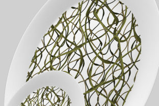 Abstract Pattern Design Review for Commercial Use